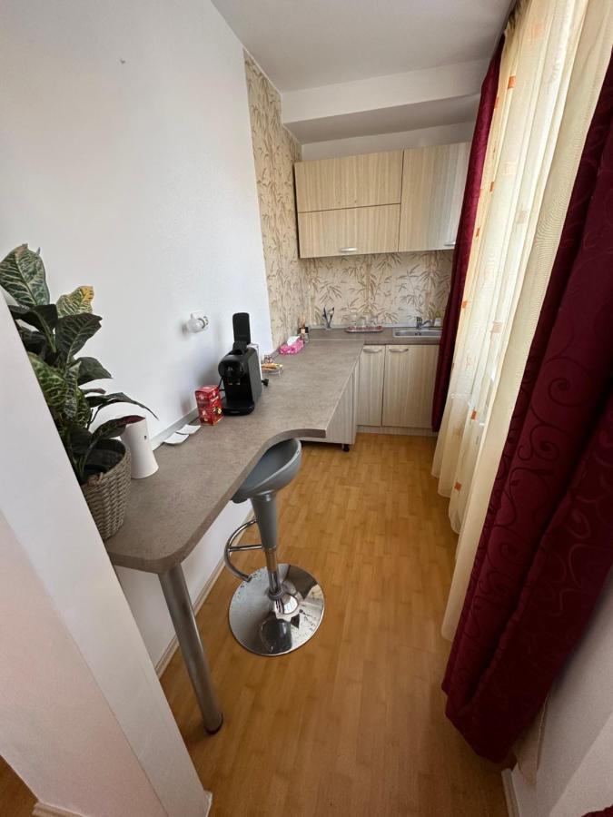 Willa Brasov Place Zewnętrze zdjęcie