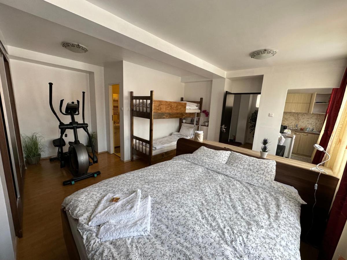 Willa Brasov Place Zewnętrze zdjęcie